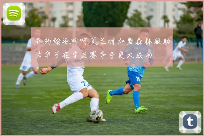 乔约翰逊呼吁莫兰特加盟森林狼助力华子在季后赛争夺更大成功